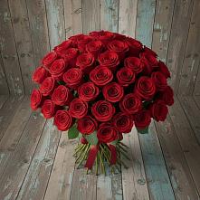 Букет 55 Красных роз Фридом #REPLACE_PRED# Трудобеликовский