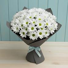 Букет цветов из:  Хризантемы в Трудобеликовский