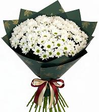 Букет цветов из:  Хризантемы в Трудобеликовский