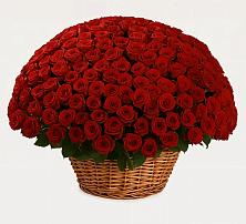 Премиум букет из: Розы #REPLACE_PRED# Трудобеликовский