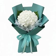 Букет цветов из:  Гортензия в Трудобеликовский